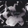 画像1: Cucina Povera "Lumme" [CD]