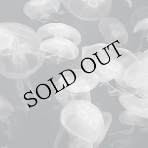 画像: Brad E. Rose "Annular Silhouettes" [CD + Booklet]