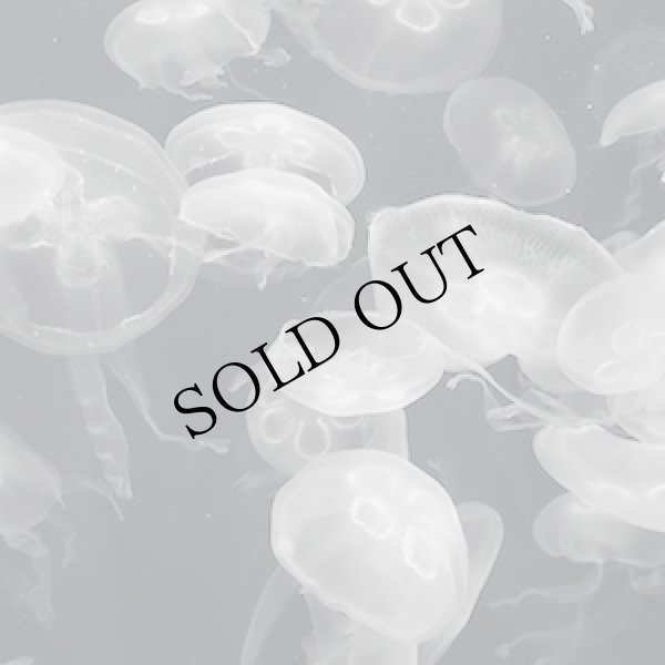 画像1: Brad E. Rose "Annular Silhouettes" [CD + Booklet]