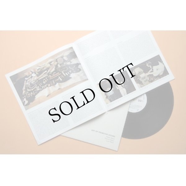 画像3: Art Of Primitive Sound (W. Maioli, P. Meyer, L. Maioli) "Strumenti Musicali Della Preistoria: Il Paleolitico" [LP]