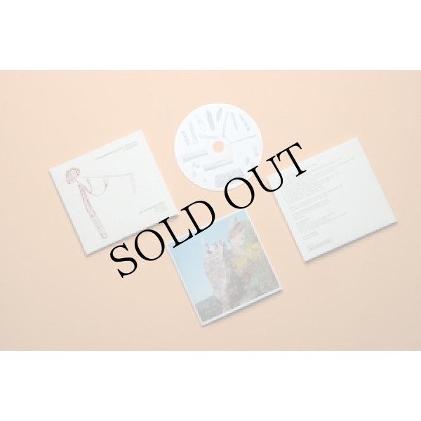 画像2: Art Of Primitive Sound (W. Maioli, P. Meyer, L. Maioli) "Strumenti Musicali Della Preistoria: Il Paleolitico" [CD]