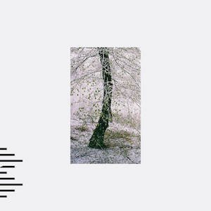 画像: Observatories (Ian Hawgood & Craig Tattersall) "Our Recently Acquired Knowledge" [CD]