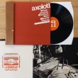 画像2: Axolotl "Abrasive" [LP + 8 Page Booklet]
