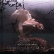 画像1: Michael Allen Z Prime "Bioelectrical Music" [3CD + 44 page booklet Box]