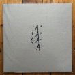 画像2: Carcascara "II" [LP]