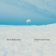 画像1: Boris Baltschun "Desert Dictionary" [LP]