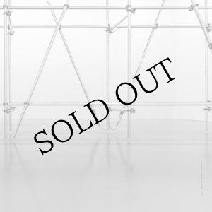 画像: Gavin Bryars, Massimo Bartolini "In la" [LP]