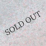 画像: Leitmotiv Limbo "Superior State" [LP]