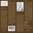 画像2: Anthony Janas "Field Recordings of Mythical Beasts" [LP]
