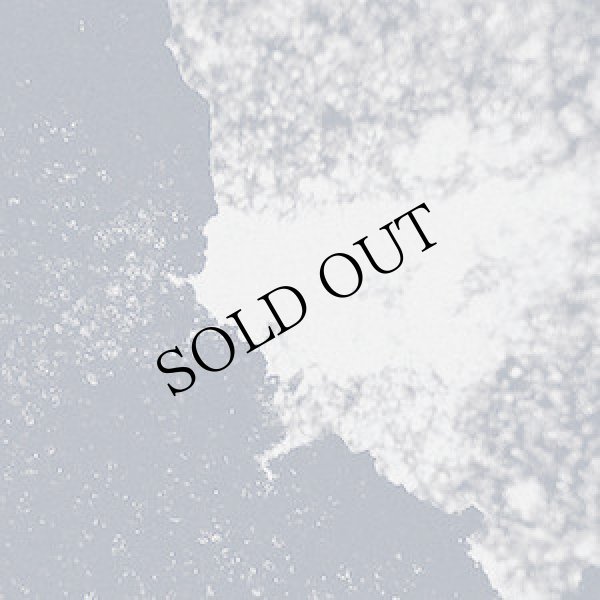 画像2: Siavash Amini "Serus" [Black Smoke LP]