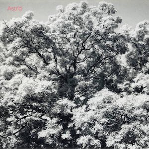 画像: Astrid "Always Digging The Same Hole" [CD]