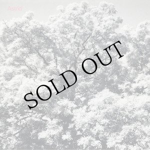 画像: Astrid "Always Digging The Same Hole" [CD]