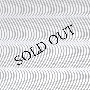 画像: Merzbow "Pulse Demon" [CD]