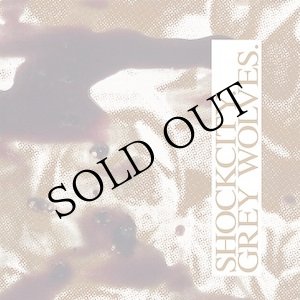 画像: Shockcity, Grey Wolves "Blood & Sand" [CD]