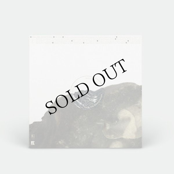 画像3: Pauline Hogstrand "Ahkka" [Transparent blue LP]