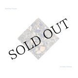 画像: Jean-Marc Foussat "Les Vraies Richesses" [LP + DVD]
