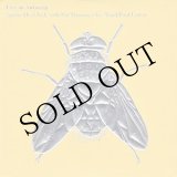 画像: Spring Heel Jack With Pat Thomas / Alex Ward / Paul Lytton "Live In Antwerp" [CD]