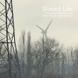 画像1: Jonathan Coleclough, Theo Travis & Jeph Jerman "Slowed Life" [CD]