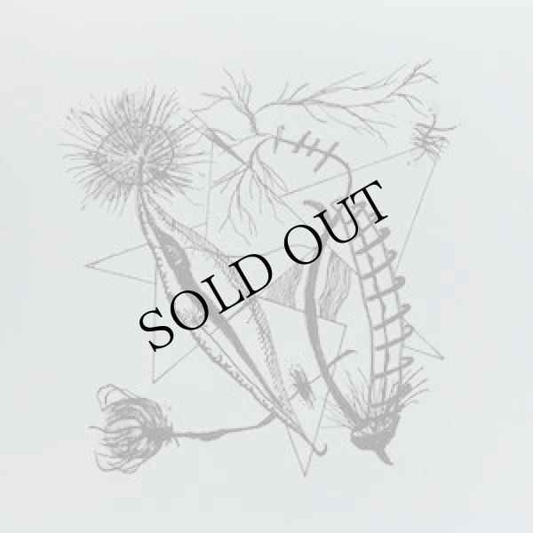 画像2: V.A "Et si c'​etait le Vent qui avait Raison ?" [CD]