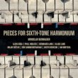 画像1: V.A "Pieces For Sixth​-​Tone Harmonium" [2CD]