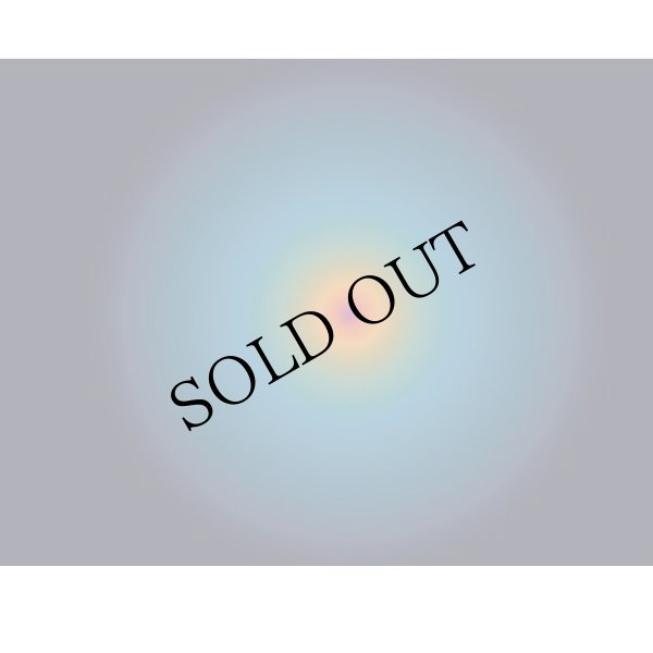 画像2: Pandit Uday Bhawalkar "Raga Yaman" [CD]