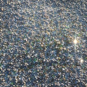 画像: Massimo Toniutti "The Clear Observatory - Eyepiece Musique" [CD]