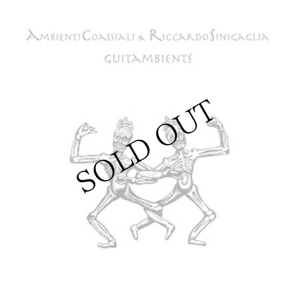 画像1: Ambienti Coassiali, Riccardo Sinigaglia "Guitambients" [LP]