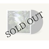 画像: Coen Oscar Polack "Haarlemmerhout" [LP]