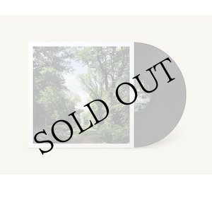 画像: Coen Oscar Polack "Haarlemmerhout" [LP]