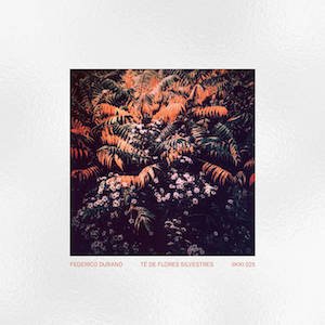 画像: Federico Durand "Te De Flores Silvestres" [CD]