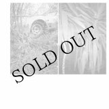 画像: Mark Templeton "Two Verses" [LP]