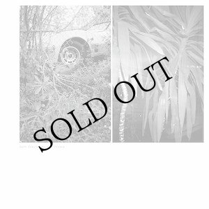 画像: Mark Templeton "Two Verses" [LP]