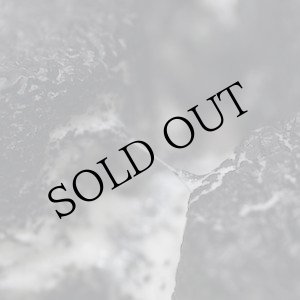 画像: Eloine "Moldy Cushions" [CD]