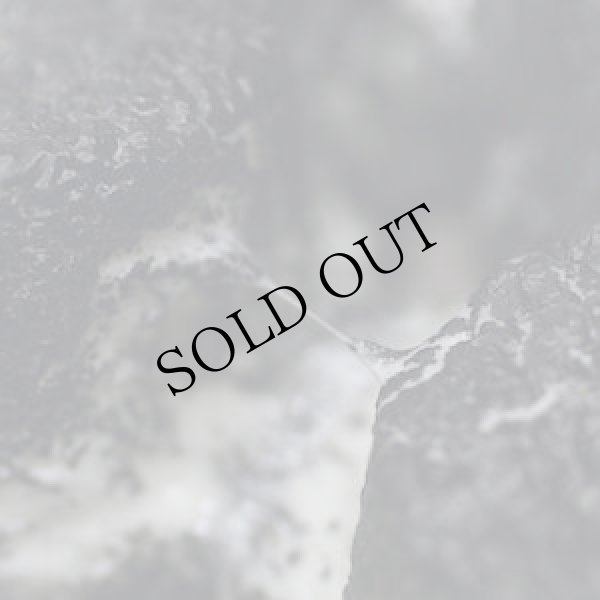 画像1: Eloine "Moldy Cushions" [CD]