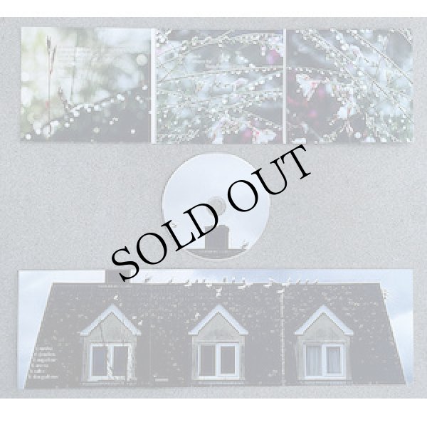 画像2: Filippo Mazzei "Love Songs in Grams per Second" [CD]