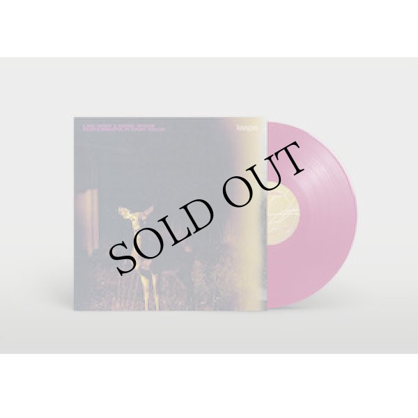 画像1: Lake Mary & Daniel Wyche "Deer's Breathe In Every Color" [Magenta transparent LP]