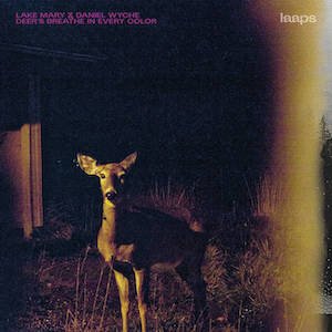 画像: Lake Mary & Daniel Wyche "Deer's Breathe In Every Color" [CD]