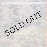 画像: Thme "Anti Atlas" [CD]