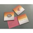 画像2: Anne Gillis + XT "AnimauX veGeTal" [2CD]
