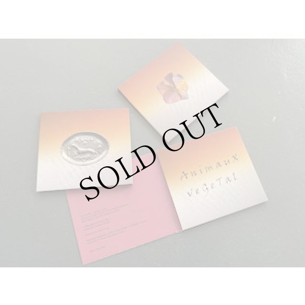 画像2: Anne Gillis + XT "AnimauX veGeTal" [2CD]