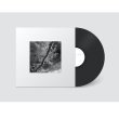 画像2: Maurizio Abate & Luca Venitucci "Peace and Pleasure" [LP]