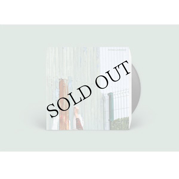 画像2: Annea Lockwood "On Fractured Ground / Skin Resonance" [LP]