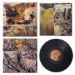 画像2: Jeph Jerman "Burn-im-rag" [LP]