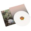 画像2: Luca Trevisani "Amazoom" [White LP]