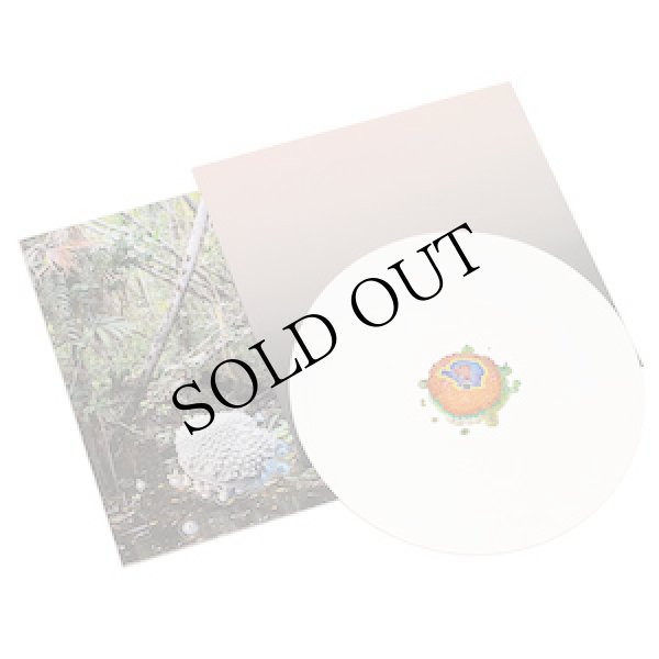 画像2: Luca Trevisani "Amazoom" [White LP]