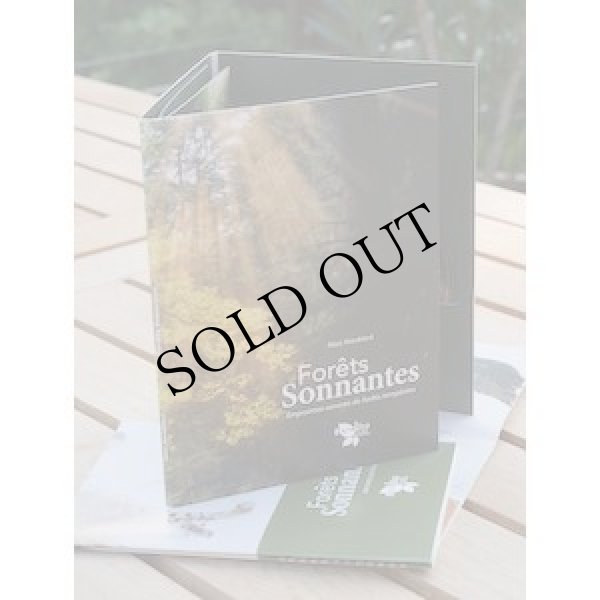 画像3: Marc Namblard "Forets sonnantes" [2CD + Booklet + 2 Poster]