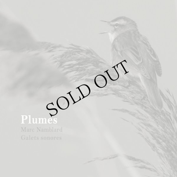 画像1: Marc Namblard "Plumes" [CD]