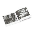 画像4: Costin Miereanu "Poly-Art Recordings 1976-1982" [6CD Box]