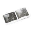 画像5: Costin Miereanu "Poly-Art Recordings 1976-1982" [6CD Box]