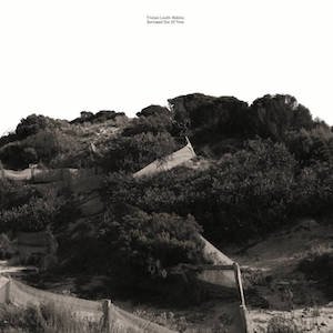 画像: Tristan Louth-Robins "Borrowed Out Of Time" [LP]